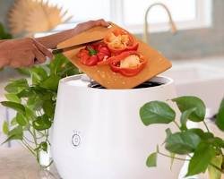 Lomi Bloom Review 2026: Is This Smart Electric Composter Worth the Hype?